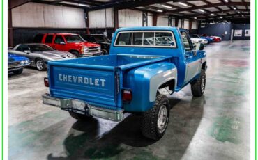 Chevrolet-k10-stepside-1983-blue-9