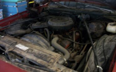 Chevrolet-laguna-s3-1976-15