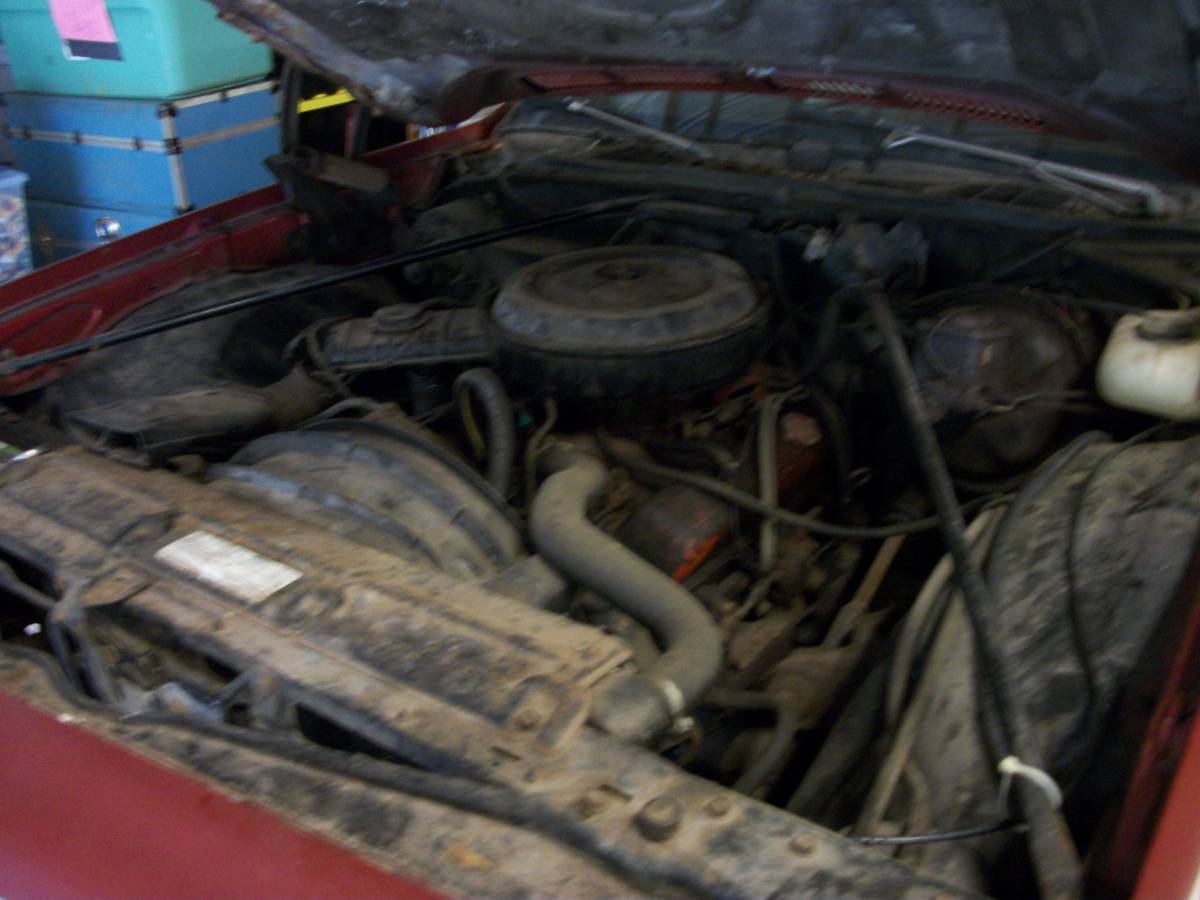 Chevrolet-laguna-s3-1976-15