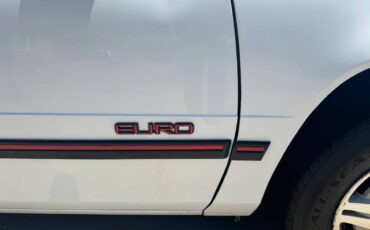 Chevrolet-lumina-1993-white-6