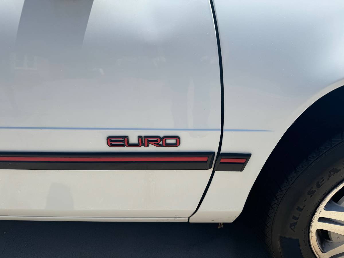 Chevrolet-lumina-1993-white-6