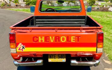 Chevrolet-luv-mikado-4x4-pickup-1979-18