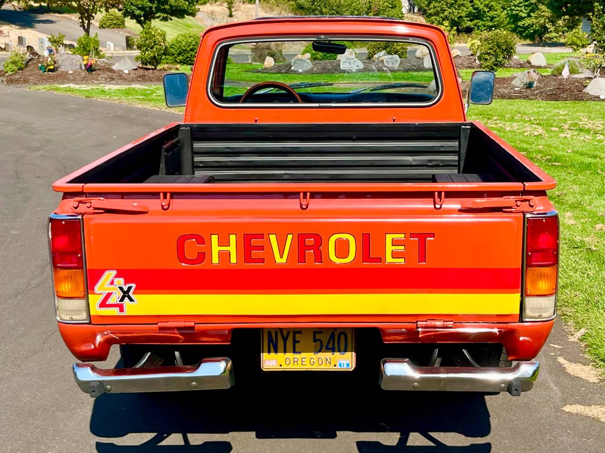 Chevrolet-luv-mikado-4x4-pickup-1979-18