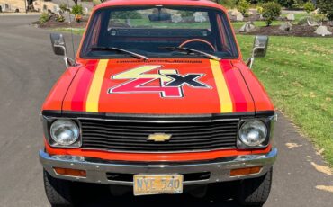 Chevrolet-luv-mikado-4x4-pickup-1979-20