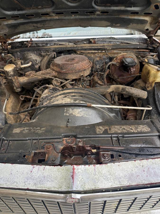 Chevrolet-malibu-1979-1