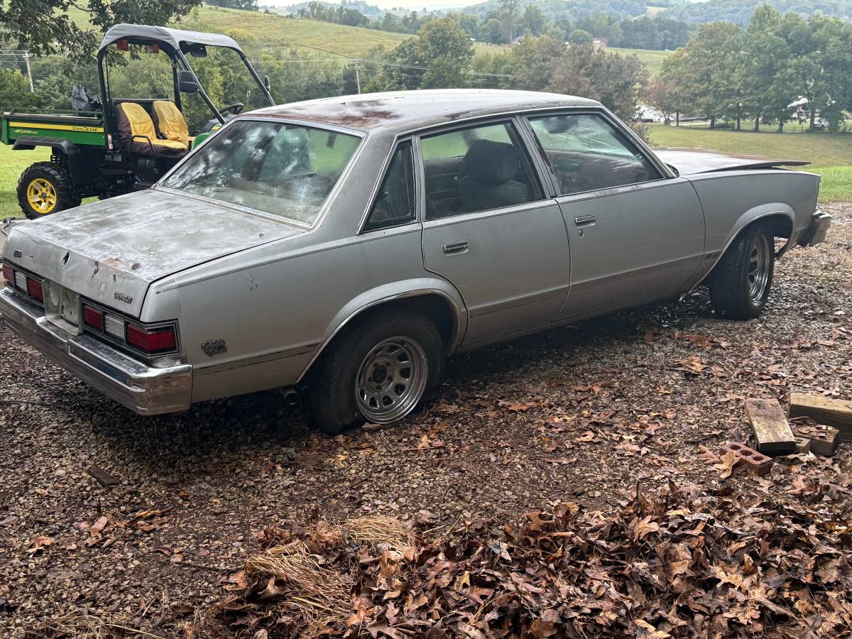 Chevrolet-malibu-1979-5