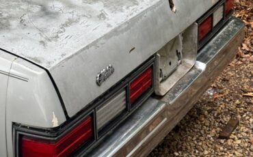 Chevrolet-malibu-1979-6
