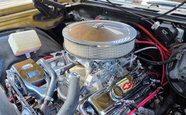 Chevrolet-monte-carlo-1971-custom-14