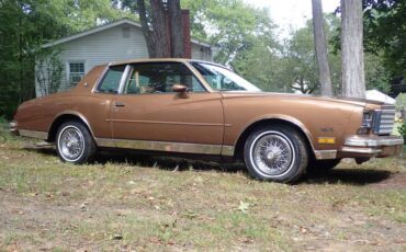 Chevrolet-monte-carlo-1980-brown-1
