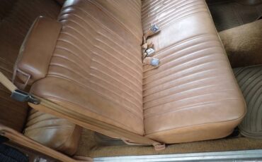 Chevrolet-monte-carlo-1980-brown-11
