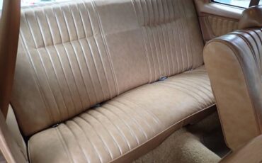 Chevrolet-monte-carlo-1980-brown-12