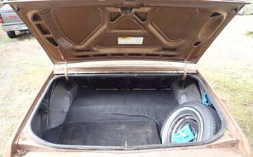 Chevrolet-monte-carlo-1980-brown-14