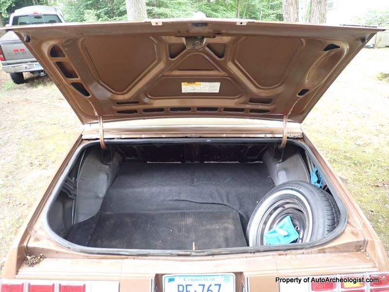 Chevrolet-monte-carlo-1980-brown-14