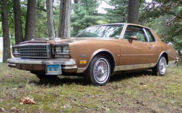 Chevrolet-monte-carlo-1980-brown-15