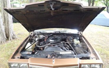 Chevrolet-monte-carlo-1980-brown-17