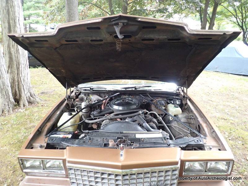 Chevrolet-monte-carlo-1980-brown-17