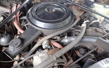 Chevrolet-monte-carlo-1980-brown-18