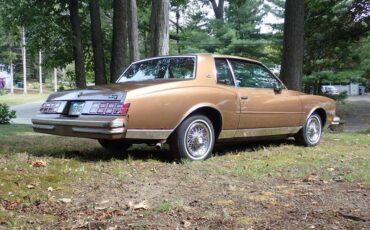 Chevrolet-monte-carlo-1980-brown-3