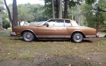 Chevrolet-monte-carlo-1980-brown-4