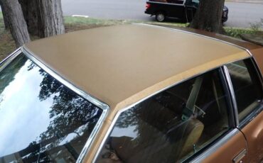 Chevrolet-monte-carlo-1980-brown-6