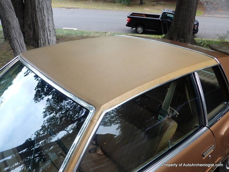 Chevrolet-monte-carlo-1980-brown-6
