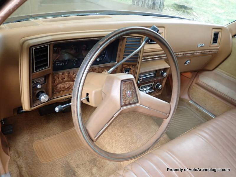 Chevrolet-monte-carlo-1980-brown-8