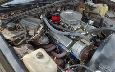 Chevrolet-monte-carlo-1983-black-5