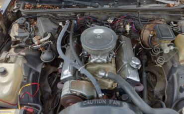 Chevrolet-monte-carlo-1983-black-6
