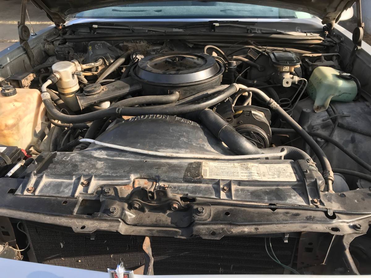 Chevrolet-monte-carlo-1986-silver-8