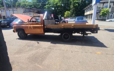 Chevrolet-pickup-diesel-1980-11