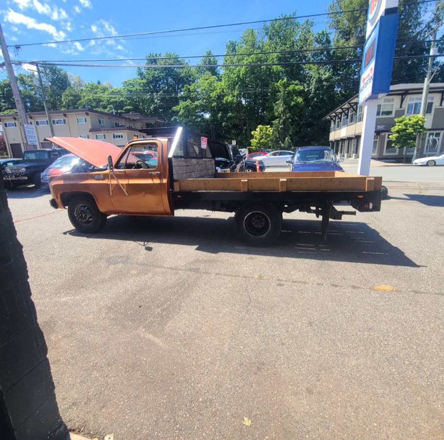Chevrolet-pickup-diesel-1980-11