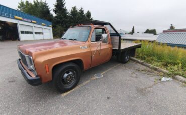 Chevrolet-pickup-diesel-1980-13