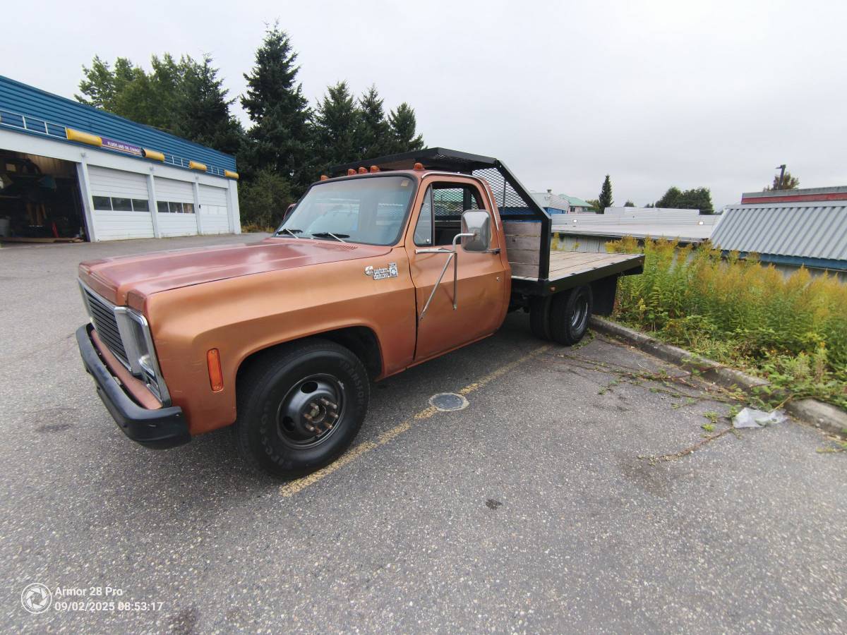Chevrolet-pickup-diesel-1980-13