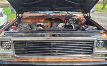 Chevrolet-pickup-diesel-1980-17