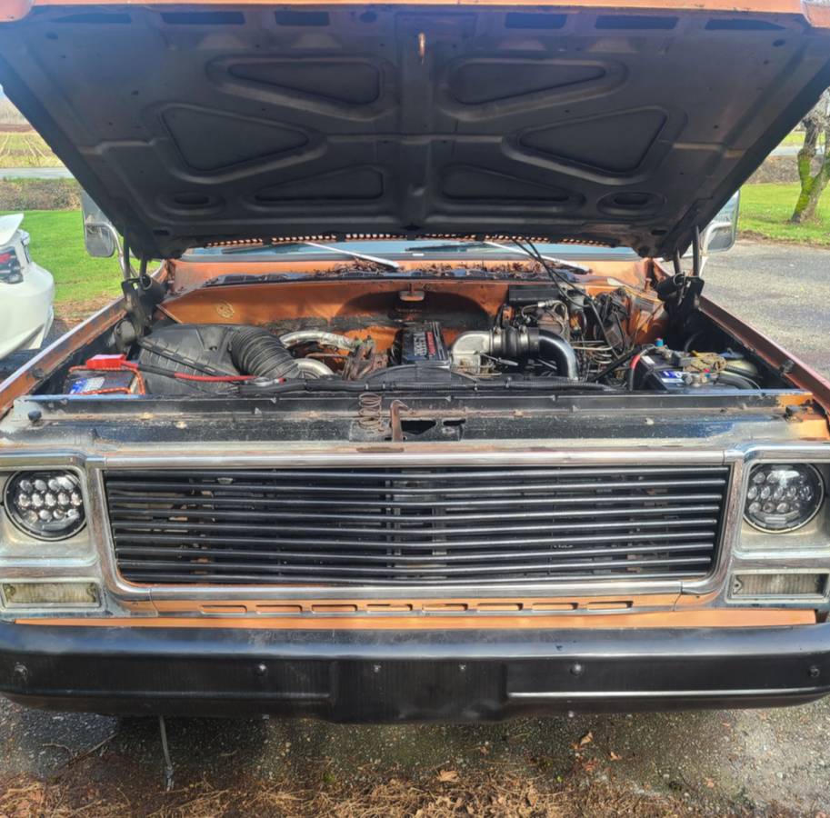 Chevrolet-pickup-diesel-1980-17