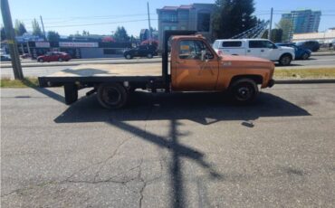 Chevrolet-pickup-diesel-1980-19