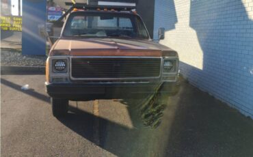 Chevrolet-pickup-diesel-1980-6