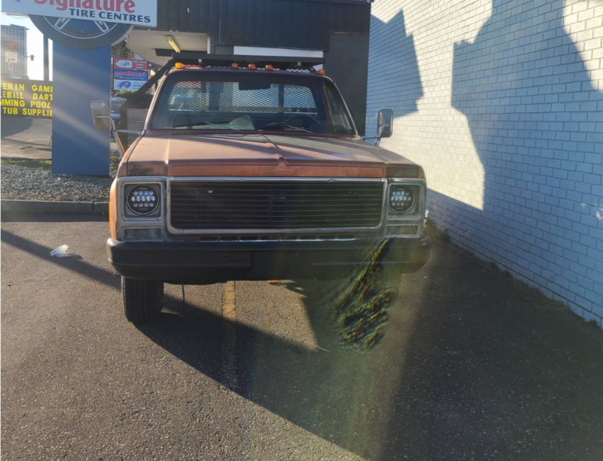 Chevrolet-pickup-diesel-1980-6