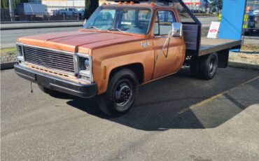 Chevrolet-pickup-diesel-1980-7