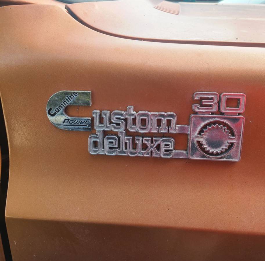 Chevrolet-pickup-diesel-1980-8