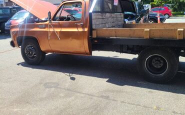 Chevrolet-pickup-diesel-1980-9