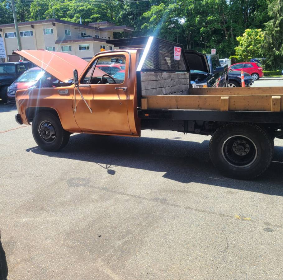 Chevrolet-pickup-diesel-1980-9