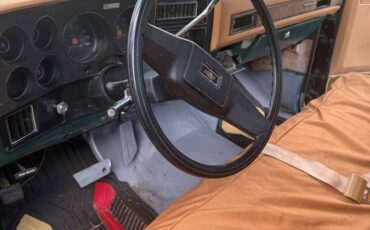 Chevrolet-r10-1987-grey-9
