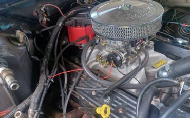 Chevrolet-s-10-pickup-12-ton-1983-black-1