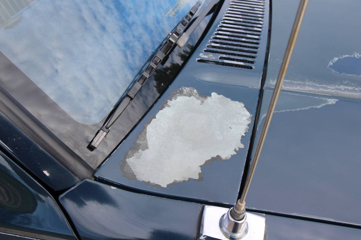 Chevrolet-s-10-pickup-12-tonchevy-s10-1983-blue-18