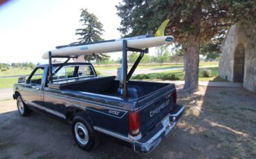 Chevrolet-s-10-pickup-12-tonchevy-s10-1983-blue-3