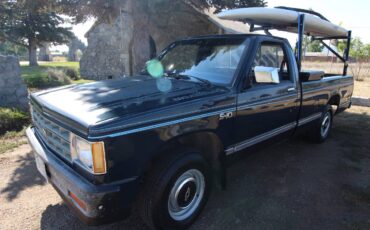 Chevrolet-s-10-pickup-12-tonchevy-s10-1983-blue-5