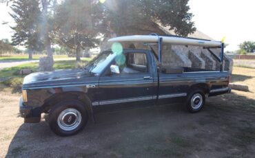 Chevrolet-s-10-pickup-12-tonchevy-s10-1983-blue-6