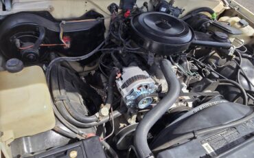 Chevrolet-s-10-pickup-4x4-ext-cab-1988-custom-10