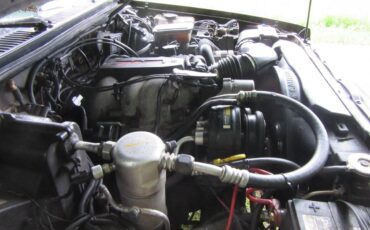 Chevrolet-s10-blazer-1994-black-9